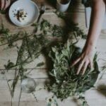 Top 10 Healing Herbs Every Witch Should Know